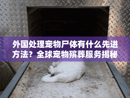 外国处理宠物尸体有什么先进方法？全球宠物殡葬服务揭秘