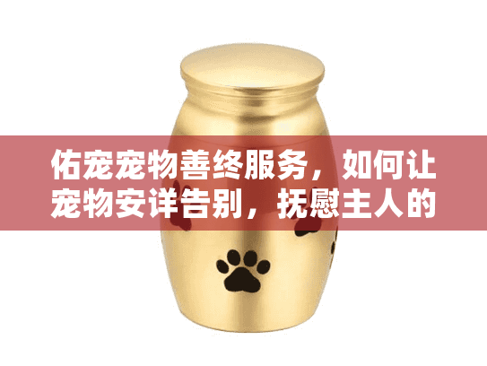 佑宠宠物善终服务，如何让宠物安详告别，抚慰主人的心？