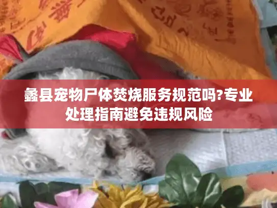 蠡县宠物尸体焚烧服务规范吗?专业处理指南避免违规风险