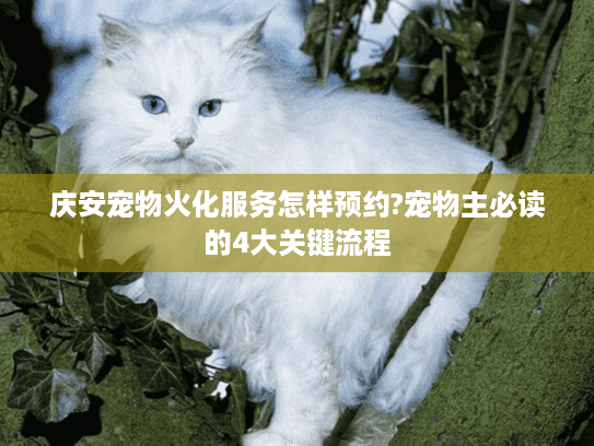 庆安宠物火化服务怎样预约?宠物主必读的4大关键流程