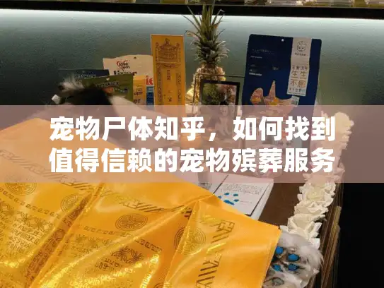 宠物尸体知乎，如何找到值得信赖的宠物殡葬服务？