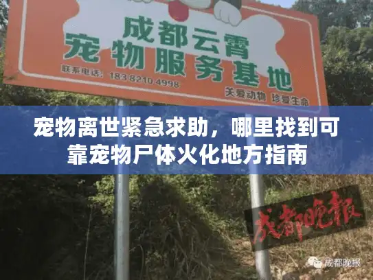 宠物离世紧急求助，哪里找到可靠宠物尸体火化地方指南