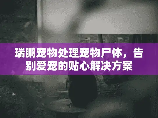 瑞鹏宠物处理宠物尸体，告别爱宠的贴心解决方案