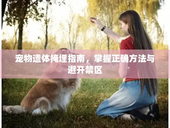 宠物遗体掩埋指南，掌握正确方法与避开禁区