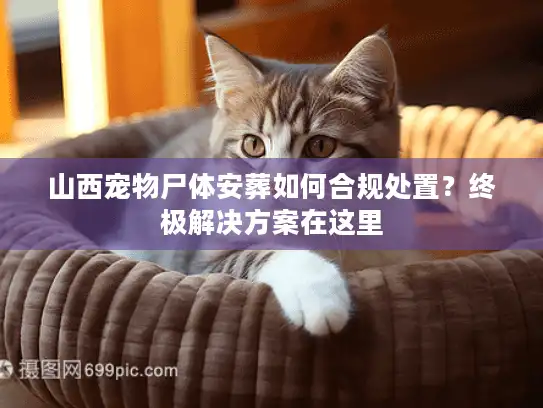 山西宠物尸体安葬如何合规处置？终极解决方案在这里