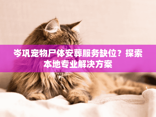 岑巩宠物尸体安葬服务缺位?探索本地专业解决方案 岑巩宠物尸体安葬服务缺位?探索本地专业解决方案