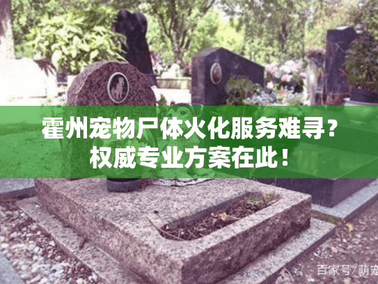 霍州宠物尸体火化服务难寻?权威专业方案在此! 霍州宠物尸体火化服务难寻?权威专业方案在此!