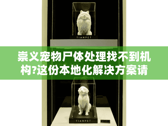 崇义宠物尸体处理找不到机构?这份本地化解决方案请收好