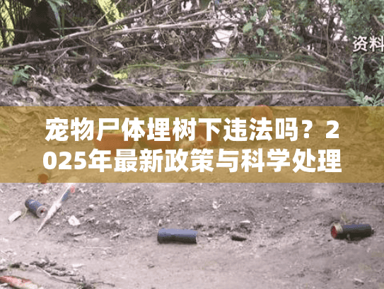 宠物尸体埋树下违法吗？2025年最新政策与科学处理指南