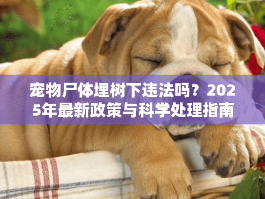 宠物尸体埋树下违法吗？2025年最新政策与科学处理指南