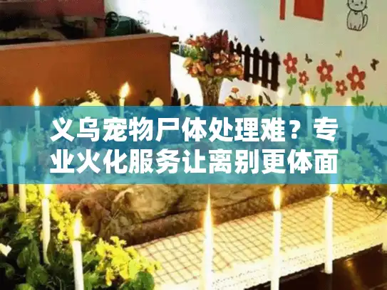 义乌宠物尸体处理难？专业火化服务让离别更体面