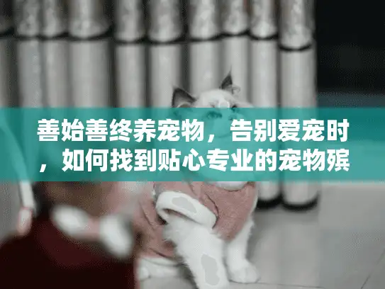 善始善终养宠物，告别爱宠时，如何找到贴心专业的宠物殡葬服务？