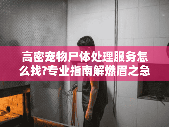 高密宠物尸体处理服务怎么找?专业指南解燃眉之急