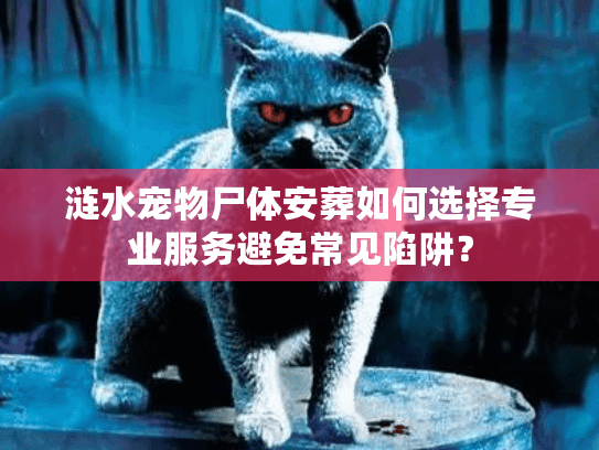 涟水宠物尸体安葬如何选择专业服务避免常见陷阱？