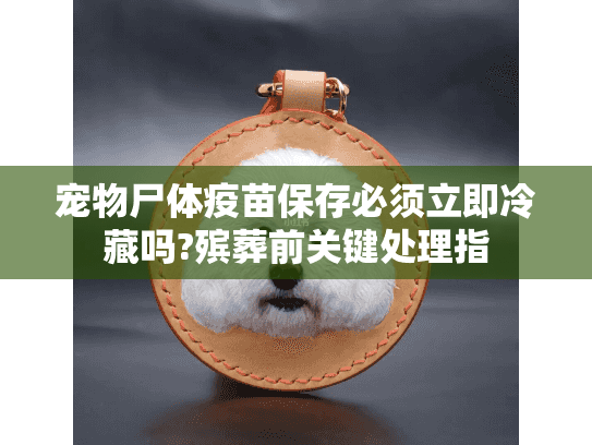 宠物尸体疫苗保存必须立即冷藏吗?殡葬前关键处理指