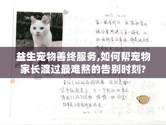 益生宠物善终服务,如何帮宠物家长渡过最难熬的告别时刻?
