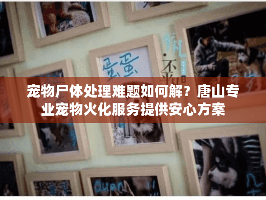 宠物尸体处理难题如何解？唐山专业宠物火化服务提供安心方案