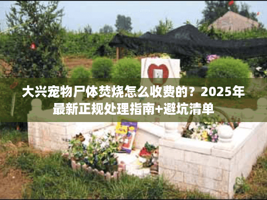 大兴宠物尸体焚烧怎么收费的？2025年最新正规处理指南+避坑清单