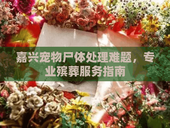 嘉兴宠物尸体处理难题,专业殡葬服务指南 嘉兴宠物尸体处理难题,专业殡葬服务指南