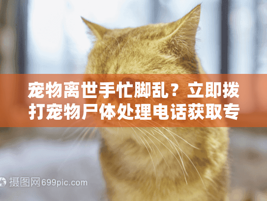 宠物离世手忙脚乱?立即拨打宠物尸体处理电话获取专业帮助! 宠物离世手忙脚乱?立即拨打宠物尸体处理电话获取专业帮助!