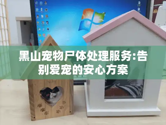 黑山宠物尸体处理服务:告别爱宠的安心方案