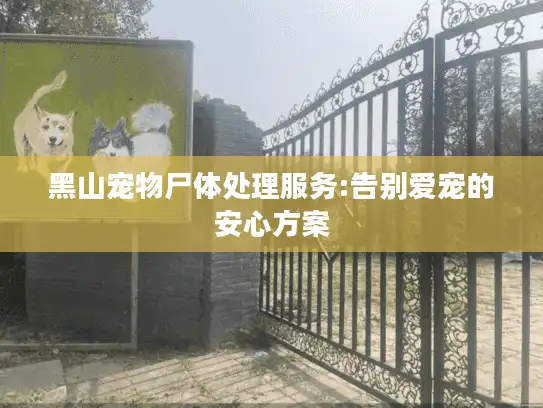黑山宠物尸体处理服务:告别爱宠的安心方案