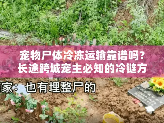 宠物尸体冷冻运输靠谱吗?长途跨城宠主必知的冷链方案 宠物尸体冷冻运输靠谱吗?长途跨城宠主必知的冷链方案
