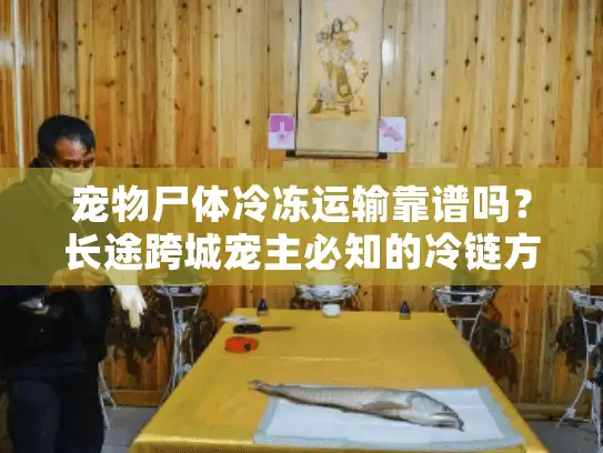 宠物尸体冷冻运输靠谱吗?长途跨城宠主必知的冷链方案 宠物尸体冷冻运输靠谱吗?长途跨城宠主必知的冷链方案