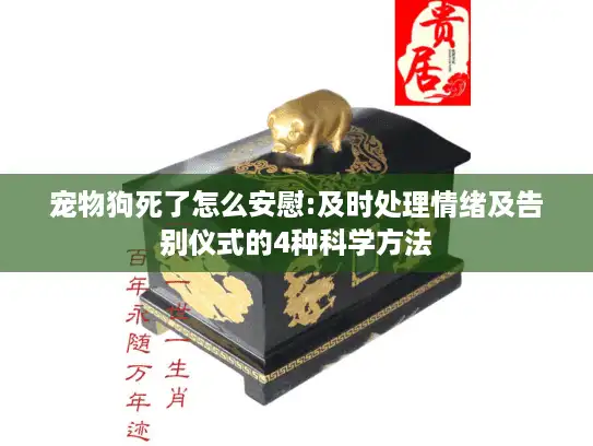 宠物狗死了怎么安慰:及时处理情绪及告别仪式的4种科学方法