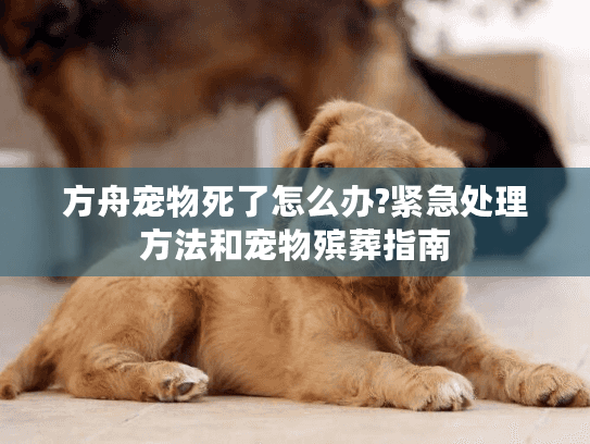 方舟宠物死了怎么办?紧急处理方法和宠物殡葬指南