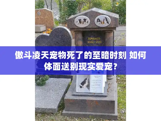 傲斗凌天宠物死了的至暗时刻 如何体面送别现实爱宠？