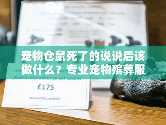 宠物仓鼠死了的说说后该做什么？专业宠物殡葬服务实用指南