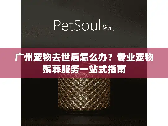 广州宠物去世后怎么办？专业宠物殡葬服务一站式指南