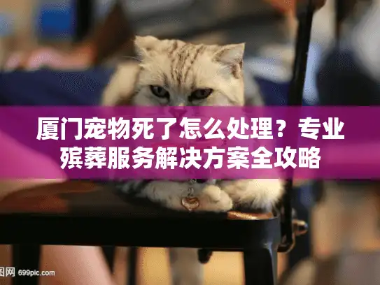 厦门宠物死了怎么处理？专业殡葬服务解决方案全攻略