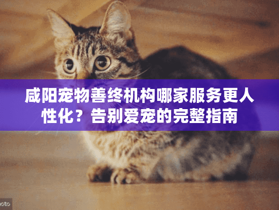 咸阳宠物善终机构哪家服务更人性化？告别爱宠的完整指南