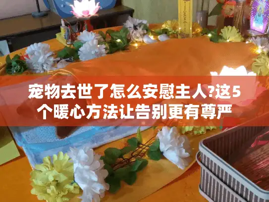 宠物去世了怎么安慰主人?这5个暖心方法让告别更有尊严