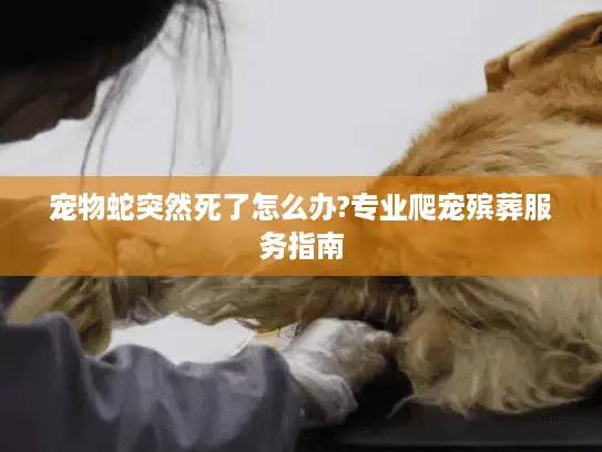 宠物蛇突然死了怎么办?专业爬宠殡葬服务指南 宠物蛇突然死了怎么办?专业爬宠殡葬服务指南
