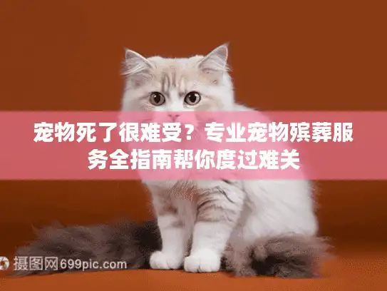 宠物死了很难受？专业宠物殡葬服务全指南帮你度过难关
