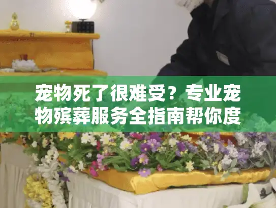 宠物死了很难受？专业宠物殡葬服务全指南帮你度过难关
