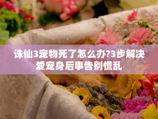 诛仙3宠物死了怎么办?3步解决爱宠身后事告别慌乱