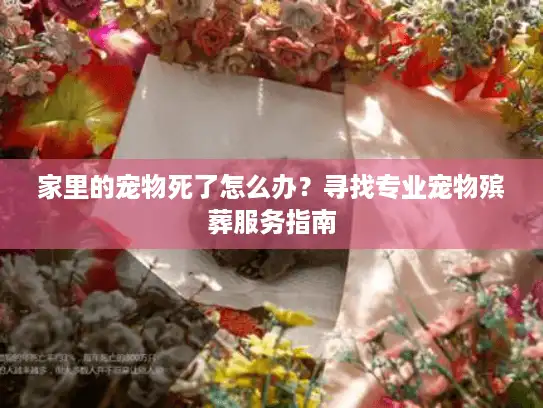 家里的宠物死了怎么办？寻找专业宠物殡葬服务指南