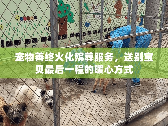 宠物善终火化殡葬服务，送别宝贝最后一程的暖心方式