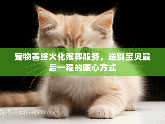 宠物善终火化殡葬服务，送别宝贝最后一程的暖心方式