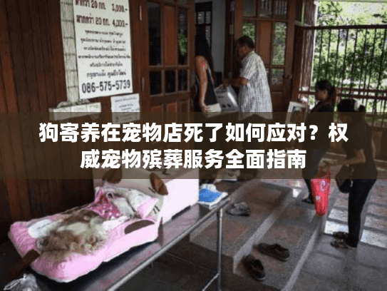 狗寄养在宠物店死了如何应对？权威宠物殡葬服务全面指南