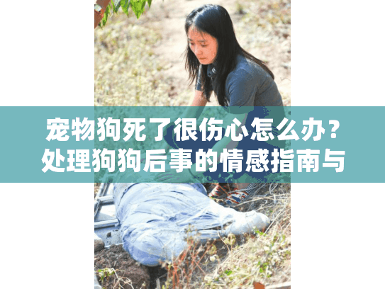 宠物狗死了很伤心怎么办？处理狗狗后事的情感指南与殡葬服务选择