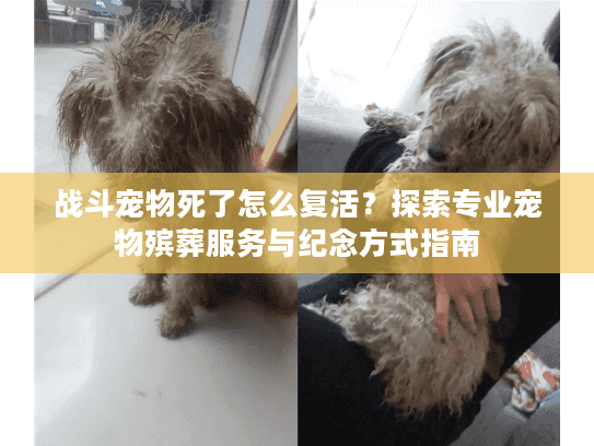 战斗宠物死了怎么复活？探索专业宠物殡葬服务与纪念方式指南
