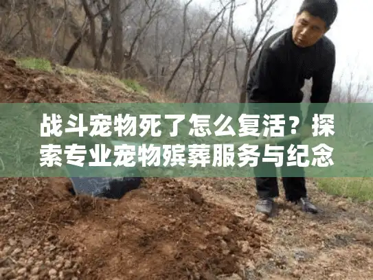战斗宠物死了怎么复活？探索专业宠物殡葬服务与纪念方式指南