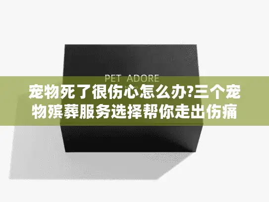 宠物死了很伤心怎么办?三个宠物殡葬服务选择帮你走出伤痛 宠物死了很伤心怎么办?三个宠物殡葬服务选择帮你走出伤痛