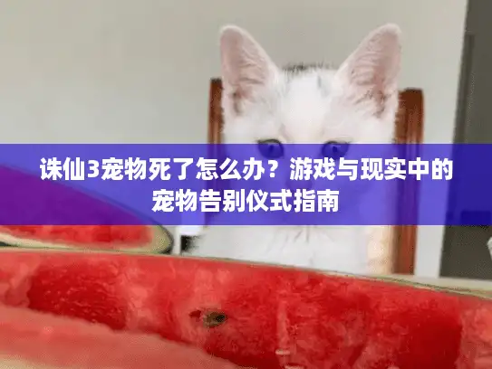 诛仙3宠物死了怎么办？游戏与现实中的宠物告别仪式指南