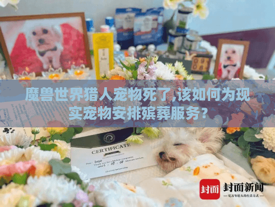 魔兽世界猎人宠物死了,该如何为现实宠物安排殡葬服务？